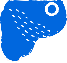 shape